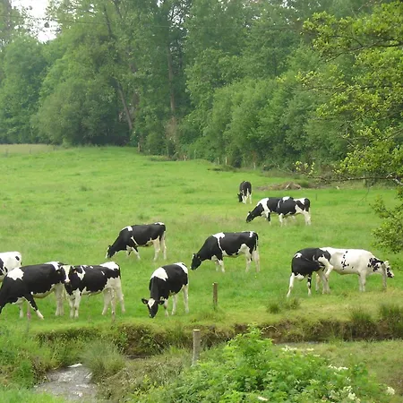 Family Escape With Terrace *