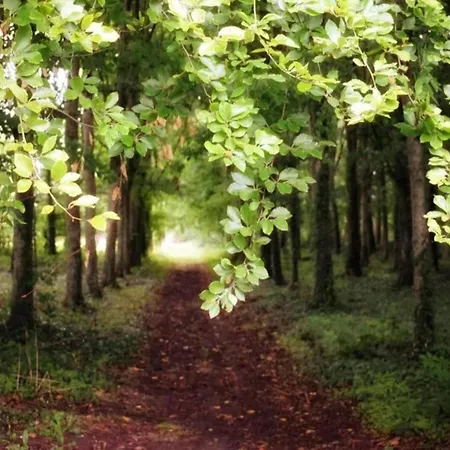 Family Escape With Terrace Σπίτι διακοπών