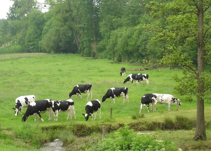 Family Escape With Terrace *