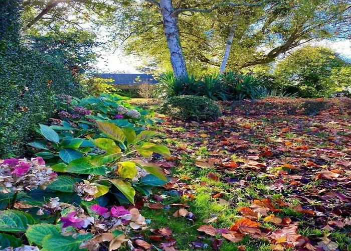 Family Escape With Terrace