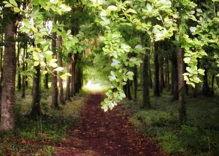 Family Escape With Terrace Casa vacanze