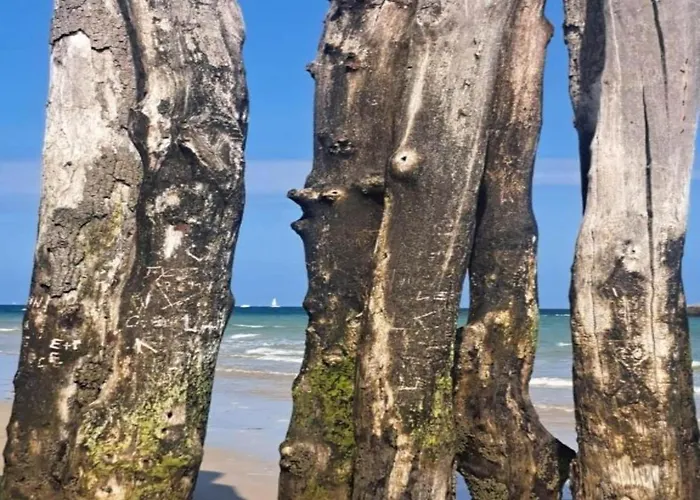 Family Escape With Terrace